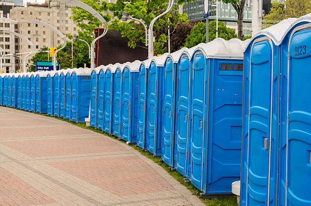 Best Portable Toilets for Parks and Recreation Areas  in Fairfax, MN